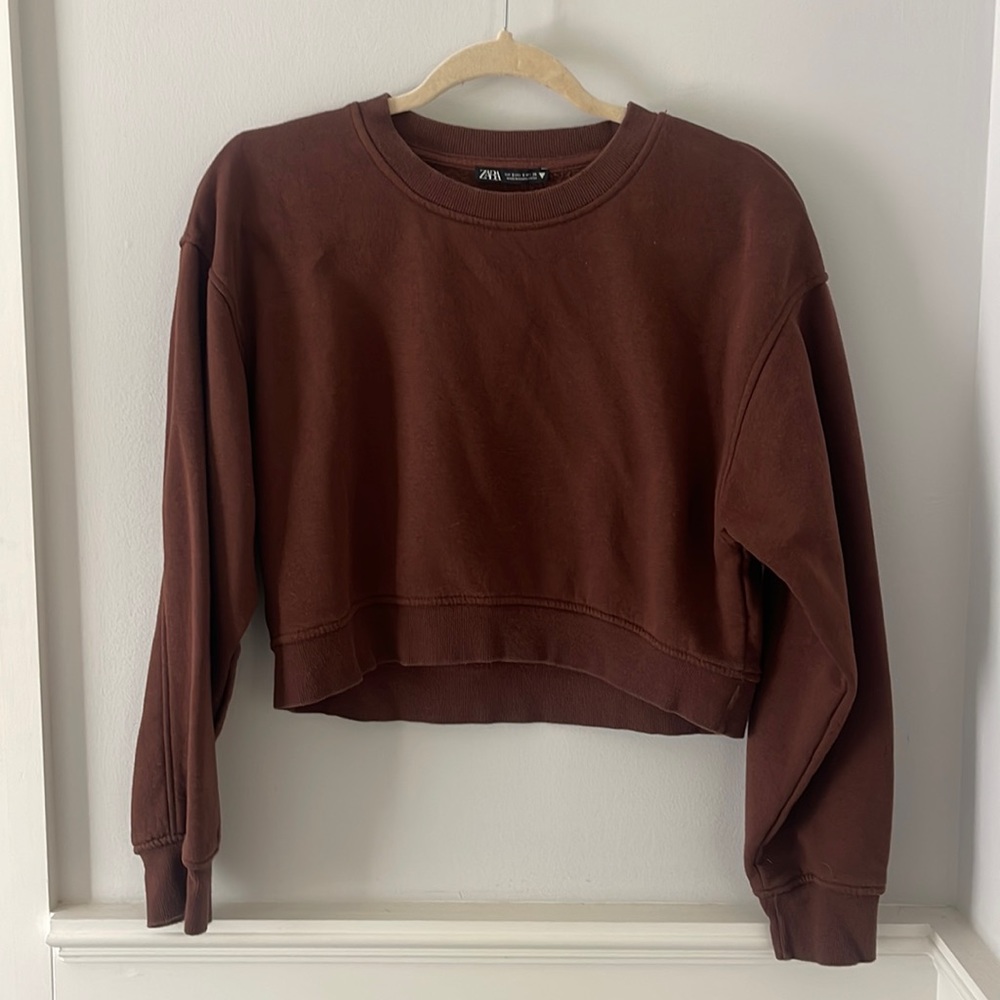 Zara Brown Cropped Sweatshirt